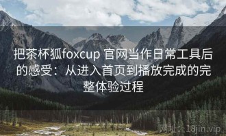 把茶杯狐foxcup 官网当作日常工具后的感受：从进入首页到播放完成的完整体验过程