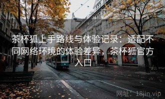 茶杯狐上手路线与体验记录：适配不同网络环境的体验差异，茶杯狐官方入口