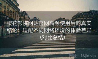 樱花影院网站官网高频使用后的真实结论：适配不同网络环境的体验差异（对比总结）