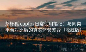 茶杯狐 cupfox日常使用笔记：与同类平台对比后的真实体验差异（收藏版）