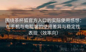 围绕茶杯狐官方入口的实际使用感想：在手机与电脑端的使用差异与稳定性表现（效率向）