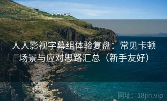 人人影视字幕组体验复盘：常见卡顿场景与应对思路汇总（新手友好）