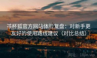 茶杯狐官方网站体验复盘：对新手更友好的使用路线建议（对比总结）