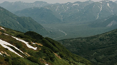 第一次使用柚子影视网页版时的真实感受：多次回访后的体验变化记录