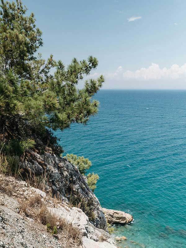 人人影视免费在线观看到底适不适合长期用？常见卡顿场景与应对思路汇总（长期体验）