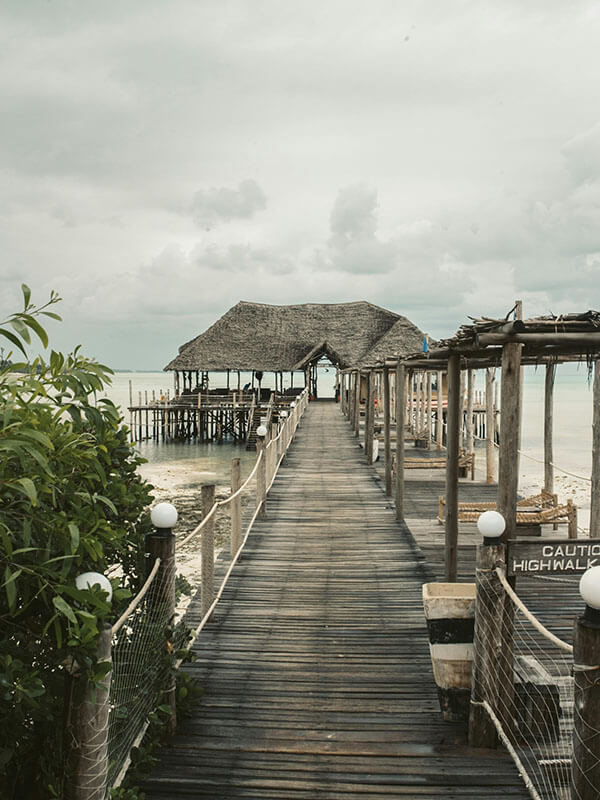 从用户角度聊聊茶杯狐cupfox官网入口：内容缺失、失效与替代方案的体验总结（效率向）