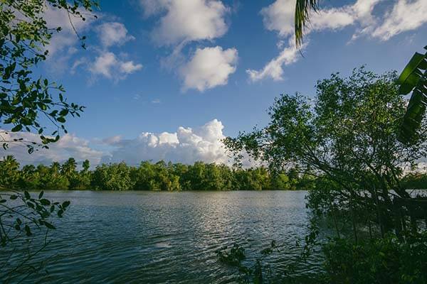 第一次使用age动漫官方时的真实感受：搜索效率、分类清晰度与实际可用性观察（收藏版）