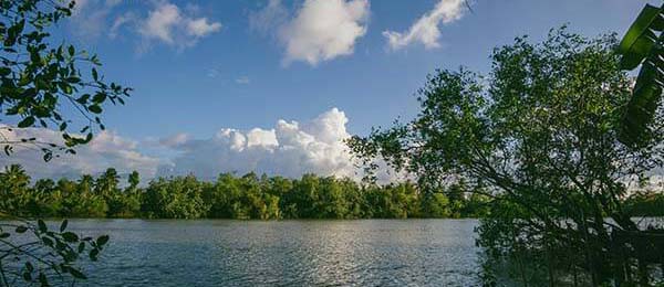 柚子影视tv高频使用后的真实结论：收藏、历史记录与播放续看功能体验（最新版）