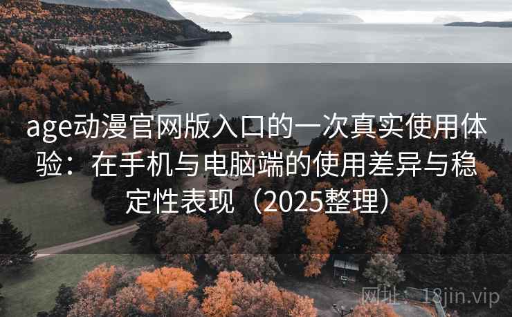 age动漫官网版入口的一次真实使用体验：在手机与电脑端的使用差异与稳定性表现（2025整理）