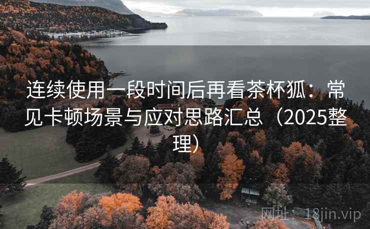 连续使用一段时间后再看茶杯狐:常见卡顿场景与应对思路汇总(2025整理) 连续使用一段时间后再看茶杯狐:常见卡顿场景与应对思路汇总(2025整理)